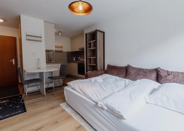 Appartement A Cote Des Remontees Mecaniques